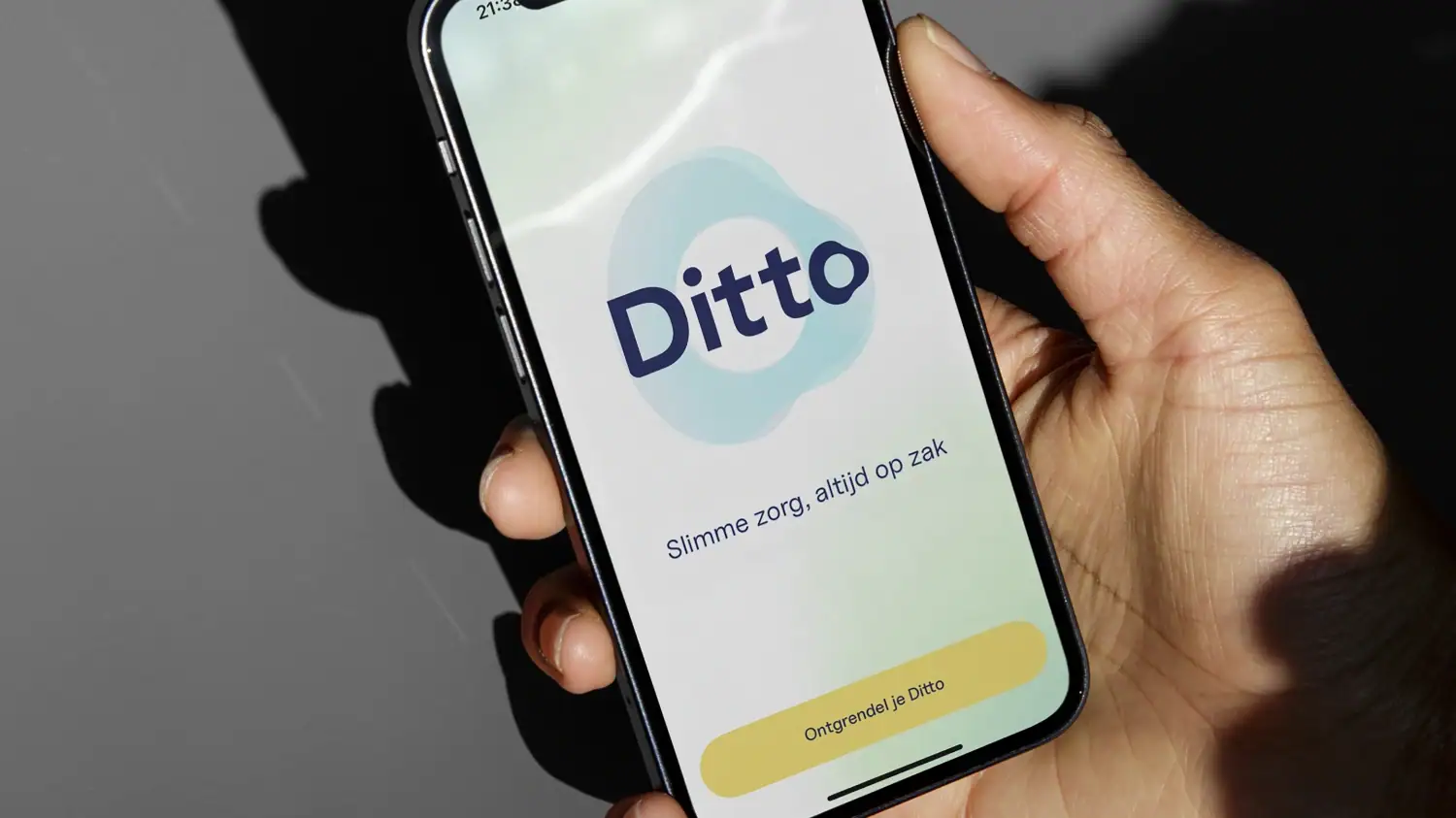 ditto featured